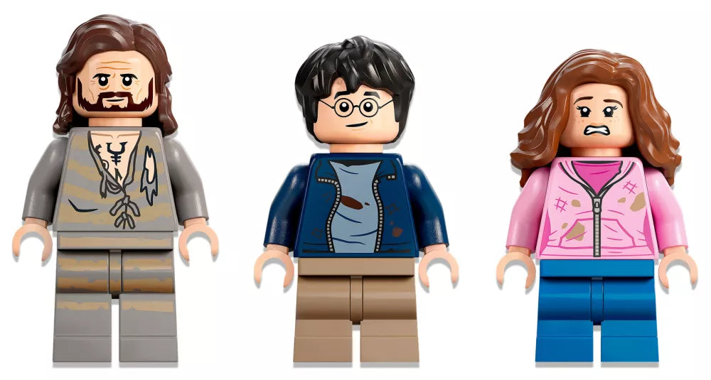 LEGO Harry Potter 76401 : La cour de Poudlard : le sauvetage de Sirius Play Again